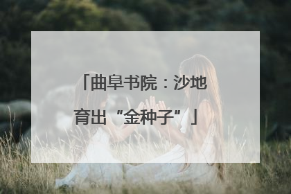 曲阜书院：沙地育出“金种子”