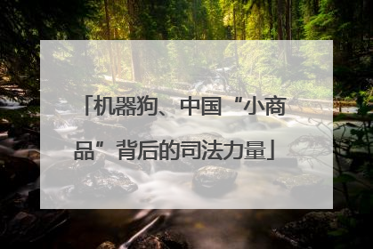 机器狗、中国“小商品”背后的司法力量