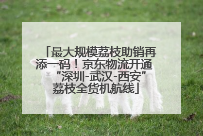 最大规模荔枝助销再添一码！京东物流开通“深圳-武汉-西安” 荔枝全货机航线