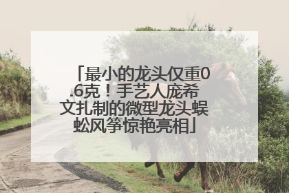 最小的龙头仅重0.6克！手艺人庞希文扎制的微型龙头蜈蚣风筝惊艳亮相