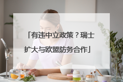 有违中立政策？瑞士扩大与欧盟防务合作