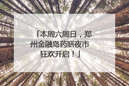 本周六周日，郑州金融岛药膳夜市狂欢开启！