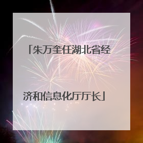 朱万奎任湖北省经济和信息化厅厅长