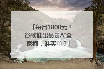 每月1800元！谷歌推出最贵AI全家桶，谁买单？