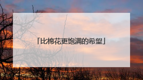 比棉花更饱满的希望