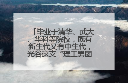 毕业于清华、武大、华科等院校，既有新生代又有中生代，光谷这支“理工男团”为何“出道”？