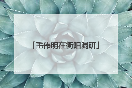 毛伟明在衡阳调研
