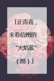 正青春，来看信州的“火焰蓝”（图）