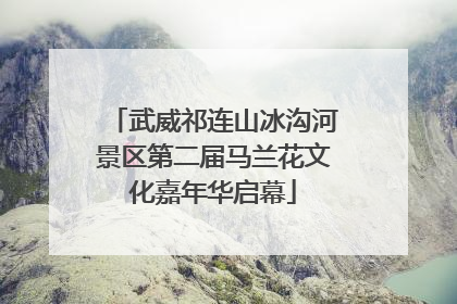 武威祁连山冰沟河景区第二届马兰花文化嘉年华启幕
