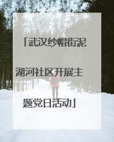 武汉纱帽街泥湖河社区开展主题党日活动