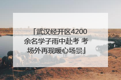 武汉经开区4200余名学子雨中赴考 考场外再现暖心场景
