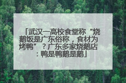 武汉一高校食堂称“烧鹅饭是广东俗称，食材为烤鸭”？广东多家烧鹅店：鸭是鸭鹅是鹅