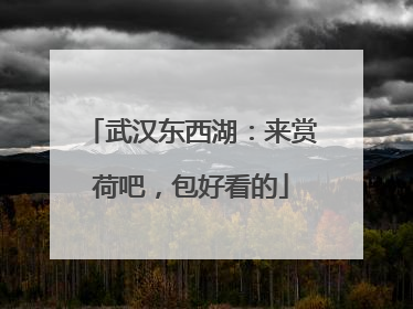 武汉东西湖：来赏荷吧，包好看的