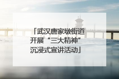 武汉唐家墩街道开展“三大精神”沉浸式宣讲活动