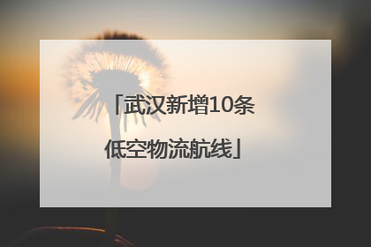 武汉新增10条低空物流航线
