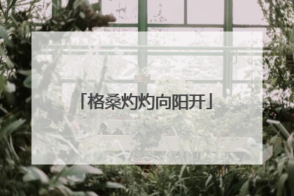 格桑灼灼向阳开