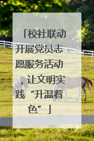 校社联动开展党员志愿服务活动，让文明实践“升温着色”