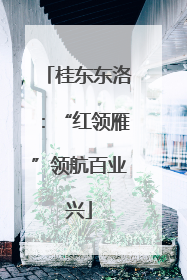 桂东东洛：“红领雁”领航百业兴