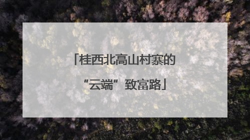 桂西北高山村寨的“云端”致富路