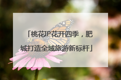 桃花IP花开四季，肥城打造全域旅游新标杆