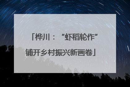 桦川：“虾稻轮作”铺开乡村振兴新画卷