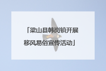 梁山县韩岗镇开展移风易俗宣传活动