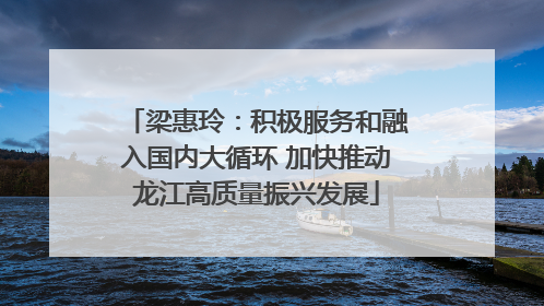 梁惠玲：积极服务和融入国内大循环 加快推动龙江高质量振兴发展