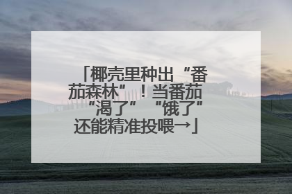 椰壳里种出“番茄森林”！当番茄“渴了”“饿了”还能精准投喂→