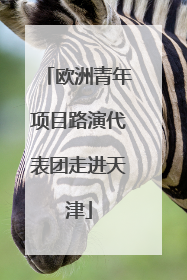 欧洲青年项目路演代表团走进天津