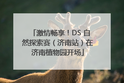 激情畅享！DS 自然探索赛（济南站）在济南植物园开场