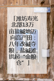 潍坊寿光北部13万亩盐碱地迈向高产田：八年改碱夺粮，盐碱滩拱起“金粮仓”