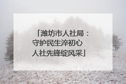 潍坊市人社局：守护民生淬初心 人社先锋绽风采