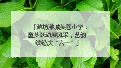 潍坊潍城芙蓉小学：童梦跃动展风采，艺韵缤纷庆“六一”