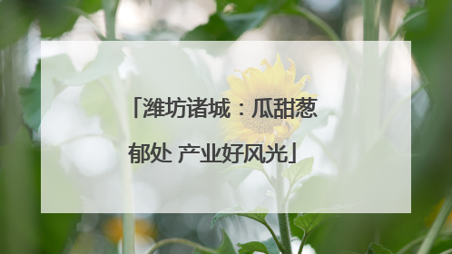 潍坊诸城：瓜甜葱郁处 产业好风光