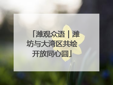潍观众语｜潍坊与大湾区共绘开放同心圆