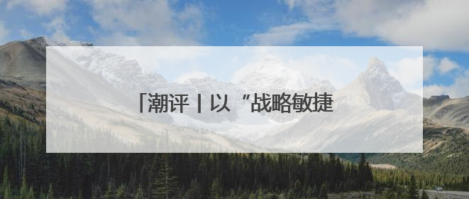 潮评丨以“战略敏捷”抢占“时差优势”
