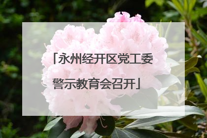 永州经开区党工委警示教育会召开