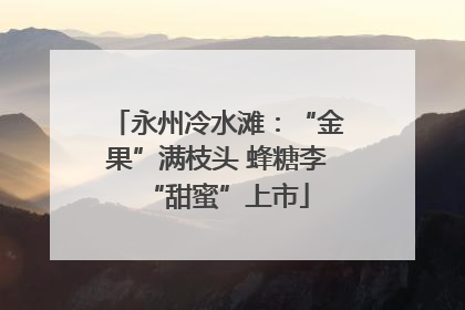 永州冷水滩：“金果”满枝头 蜂糖李“甜蜜”上市