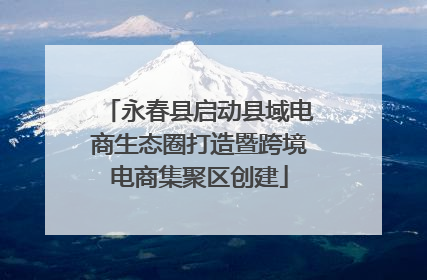 永春县启动县域电商生态圈打造暨跨境电商集聚区创建