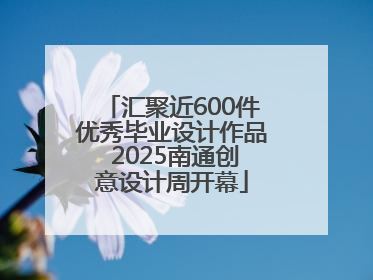 汇聚近600件优秀毕业设计作品 2025南通创意设计周开幕