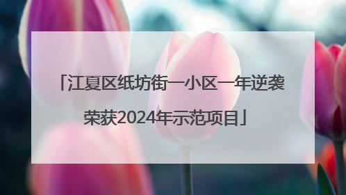 江夏区纸坊街一小区一年逆袭 荣获2024年示范项目