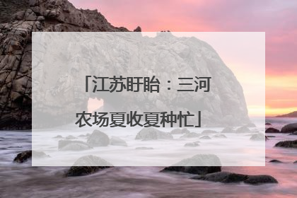 江苏盱眙：三河农场夏收夏种忙