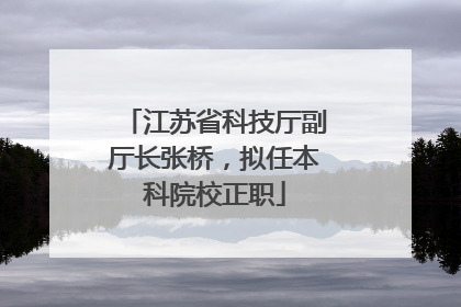 江苏省科技厅副厅长张桥，拟任本科院校正职
