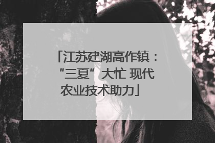 江苏建湖高作镇：“三夏”大忙 现代农业技术助力
