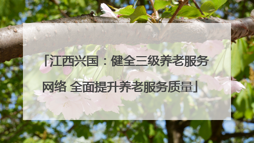 江西兴国：健全三级养老服务网络 全面提升养老服务质量