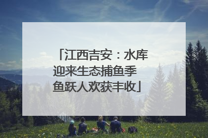 江西吉安：水库迎来生态捕鱼季 鱼跃人欢获丰收