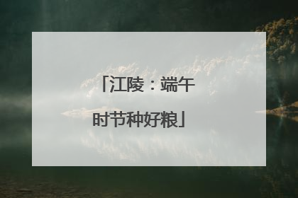 江陵：端午时节种好粮