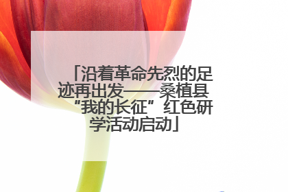 沿着革命先烈的足迹再出发——桑植县“我的长征”红色研学活动启动
