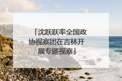 沈跃跃率全国政协视察团在吉林开展专题视察