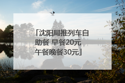 沈阳局推列车自助餐 早餐20元午餐晚餐30元